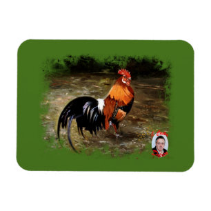 Gallo/Galo/Rooster Magnet