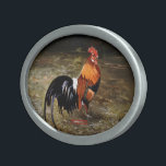 Gallo/Galo/Rooster Oval Belt Buckle<br><div class="desc">Oil painting by J. Castro Dopico. Painting or oil by J. Castro Dopico. Oil painting by J. Castro Dopico.</div>