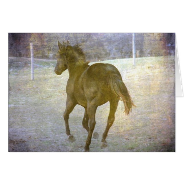 Gallop Away Cards (Front Horizontal)