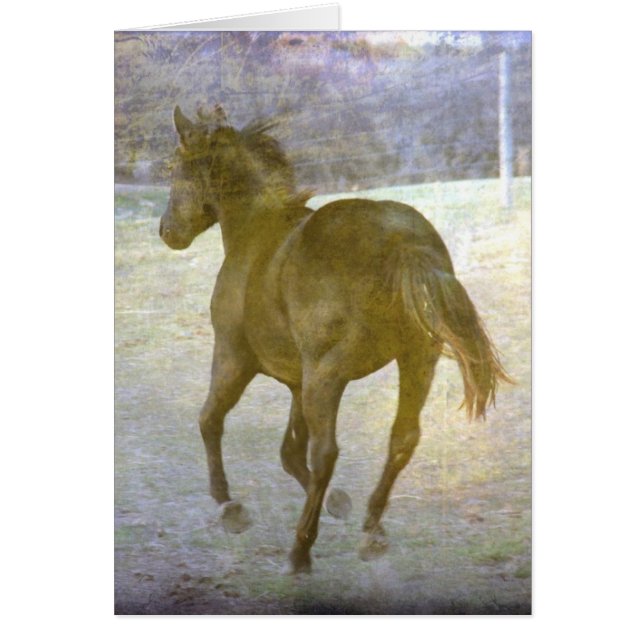 Gallop Away Cards (Front)