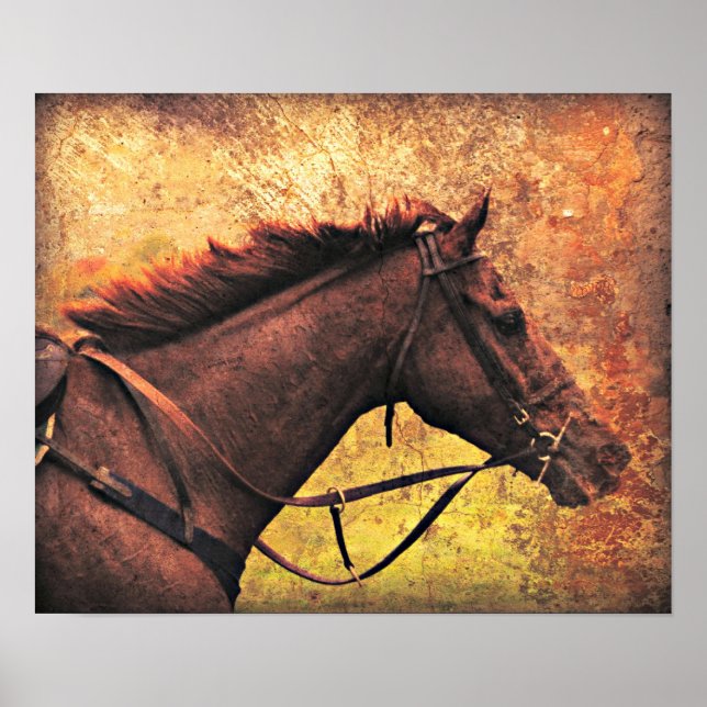 Gallop Away Poster (Front)