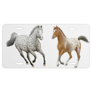 Galloping Appaloosa Horse License Plate