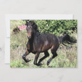 Galloping Chestnut Horse (Front)
