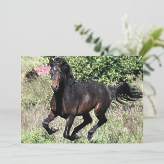 Galloping Chestnut Horse (Standing Front)