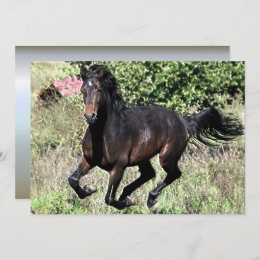 Galloping Chestnut Horse (Front/Back)