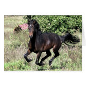 Galloping Chestnut Horse (Front Horizontal)
