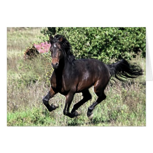 Galloping Chestnut Horse Cards (Front Horizontal)