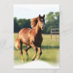 Galloping Chestnut Invitation