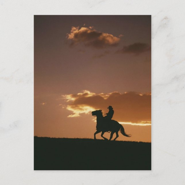 Galloping Cowboy Silhouette Postcard (Front)