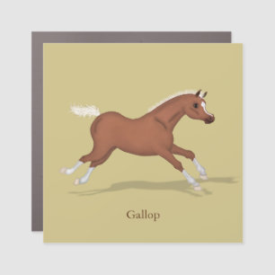 Galloping Foal Gaits of the Horse Equestrian Car Magnet