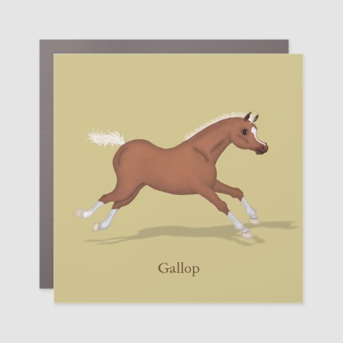 Galloping Foal Gaits of the Horse Equestrian Car Magnet