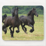 Galloping Friesian Horses  Mouse Pad