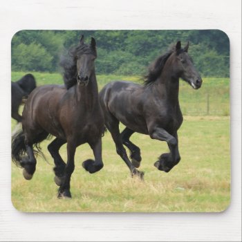 Galloping Friesian Horses  Mouse Pad by HorseStall at Zazzle