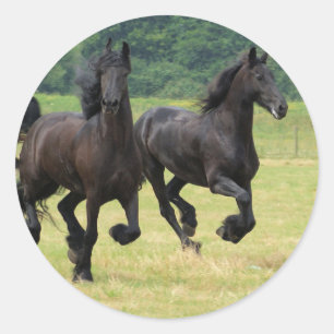 Galloping Friesian Horses Stickers