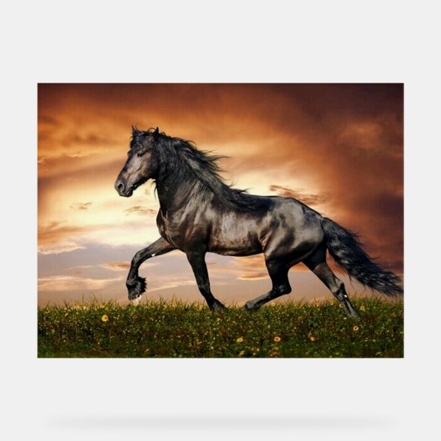 galloping horse acrylic sign (Front)