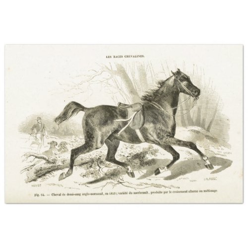 Galloping Horse Ephemera Decoupage Vintage French Tissue Paper