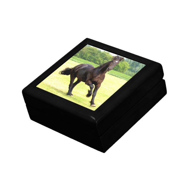 Galloping Horse Gift Box (Side)