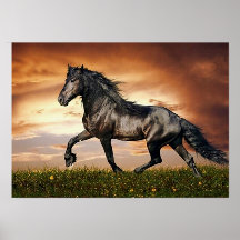 galloping horse