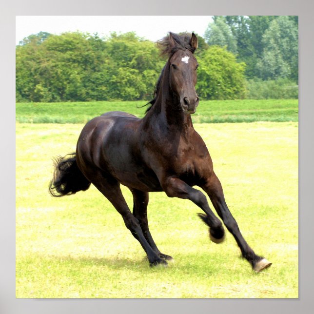 Galloping Horse Poster (Front)