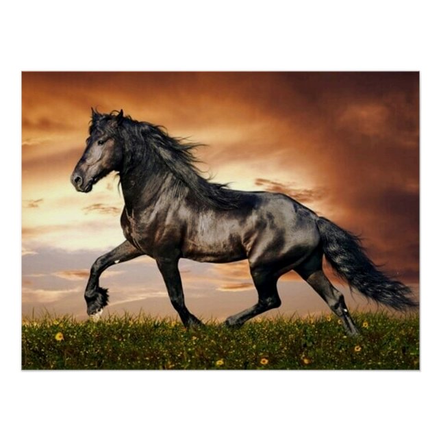 galloping horse poster (Front)