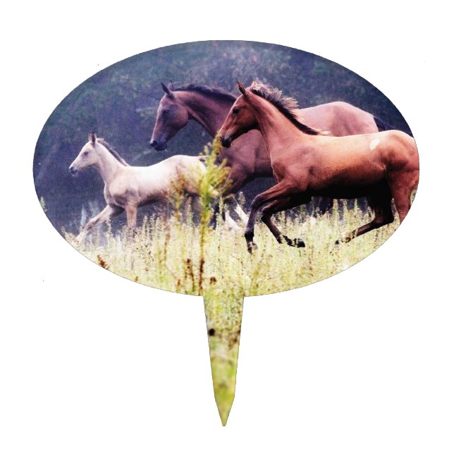 Galloping Horses Photography Cake Topper (Front)