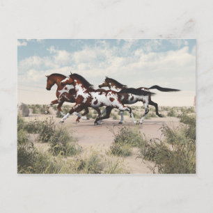 Galloping Horses Postcard