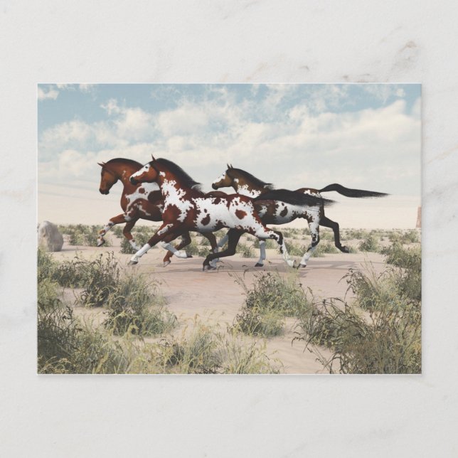 Galloping Horses Postcard (Front)