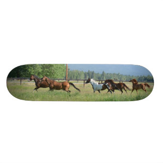 Galloping Horses Skateboard