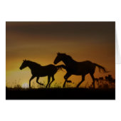 Galloping Horses Sunset Note Card (Front Horizontal)