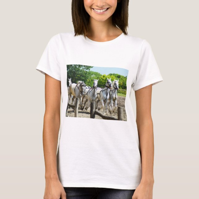 Galloping horses T-Shirt (Front)