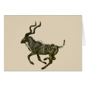 Galloping kudu cards (Front Horizontal)