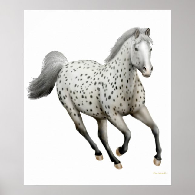 Galloping Leopard Appaloosa Horse Print (Front)