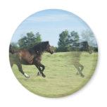 Galloping Mustangs Round Magnet