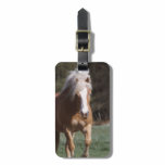 Galloping Palomino Luggage Tag
