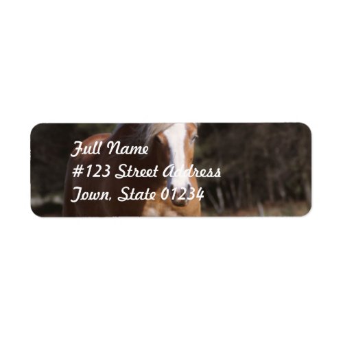 Galloping Palomino  Mailing Labels