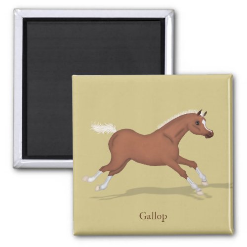 Galloping Sorrel Foal Gaits of the Horse Magnet