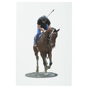 Galloping Thoroughbred Horse And Rider Metal Art