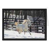 Galloping White Horse (Front Horizontal)