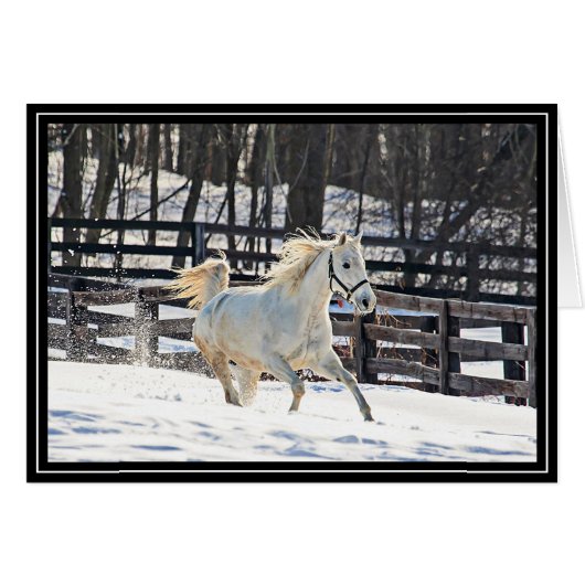 Galloping White Horse Cards (Front Horizontal)