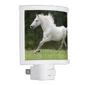 Galloping White Horse Night Light (Right)