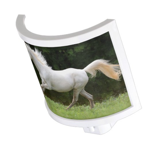 Galloping White Horse Night Light (Angled)