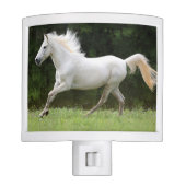 Galloping White Horse Night Light (Front)