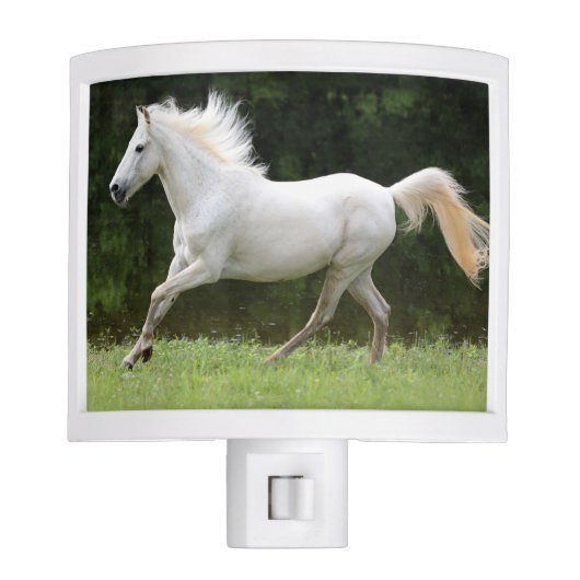 Galloping White Horse Night Light (Front)