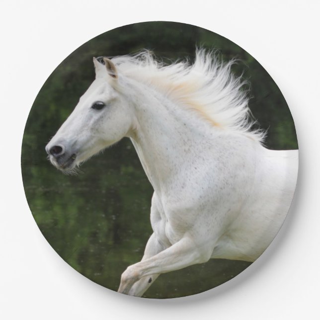 Galloping White Horse Paper Plates (Front)