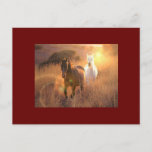 Galloping Wild Horses Postcard