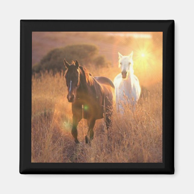 Galloping Wild Horses Square Magnet (Front)