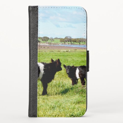 Galloway Cow Babies   iPhone X Wallet Case