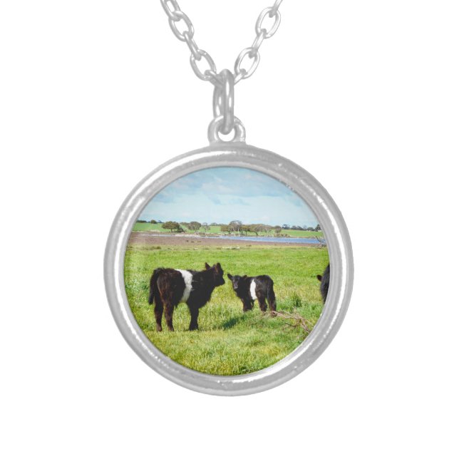 Galloway Cow Country, Silver Plated Necklace (Front)