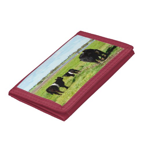 Galloway Cow Family  Trifold Wallet