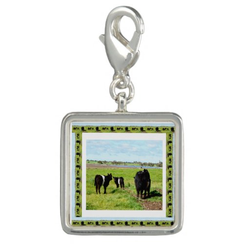 Galloway Cows Framed Charm